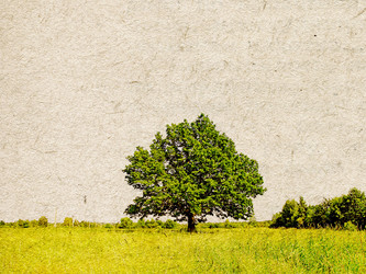 Similar image 436764