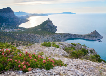 Similar image 436802