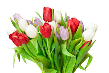 Similar image 436830