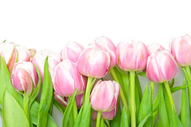 Similar image 436850