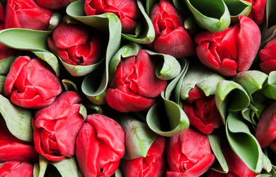 Similar image 436855