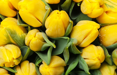 Similar image 436858