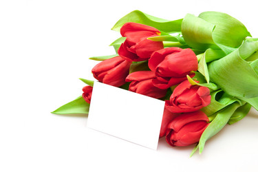 Similar image 436863