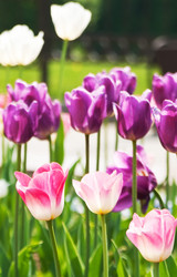 Similar image 436880