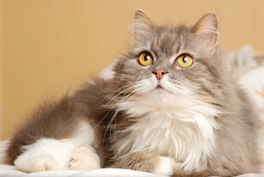 Similar image 436882