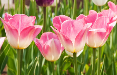 Similar image 436883