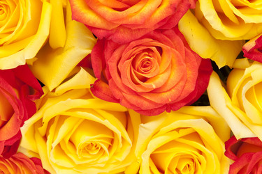 Similar image 436910