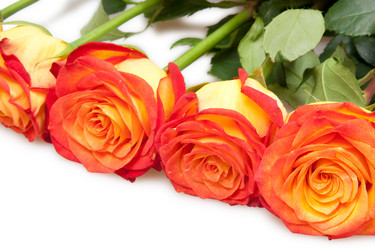 Similar image 436919