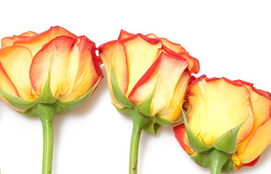 Similar image 436922