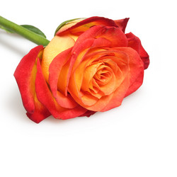 Similar image 436923