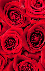 Similar image 436928