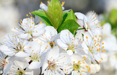 Similar image 436932