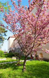 Similar image 436981