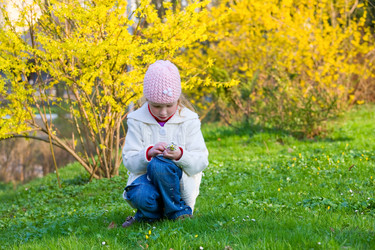 Similar image 436995