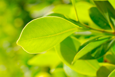 Similar image 437016