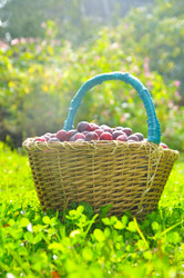 Similar image 437045