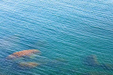 Similar image 437050