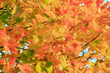 Similar image 437060