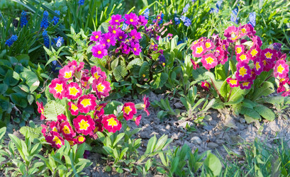 Similar image 437069