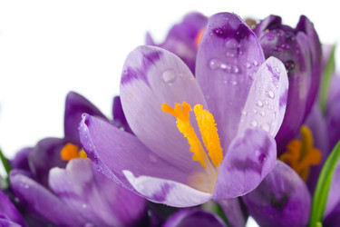 Similar image 437071