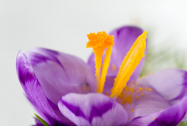 Similar image 437074