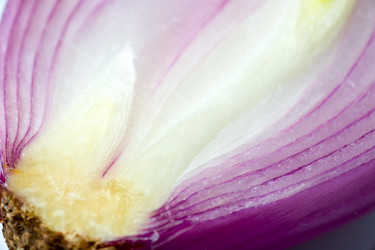 Similar image 437080