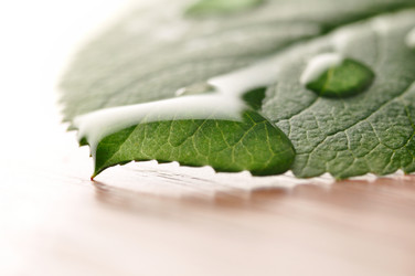 Similar image 437118