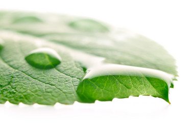 Similar image 437119