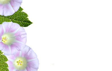 Similar image 437173