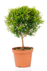 Similar image 437189