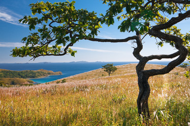 Similar image 437363