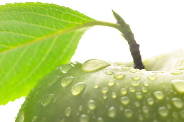 Similar image 437366