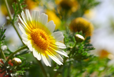 Similar image 437377