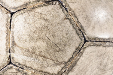 Similar image 437394