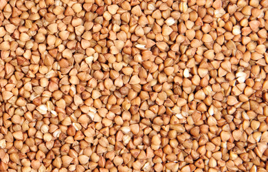 Similar image 437400