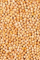 Similar image 437404