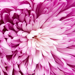 Similar image 437406