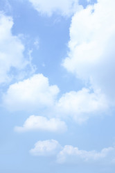 Similar image 437485