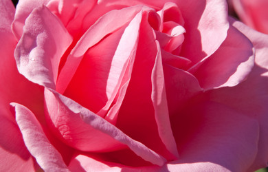 Similar image 437492