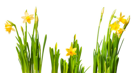 Similar image 437493