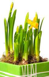 Similar image 437496