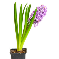 Similar image 437497