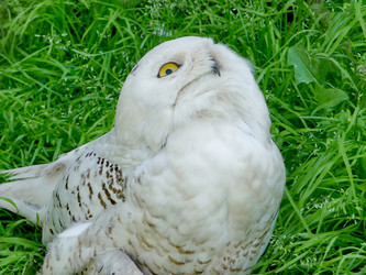 Similar image 437509