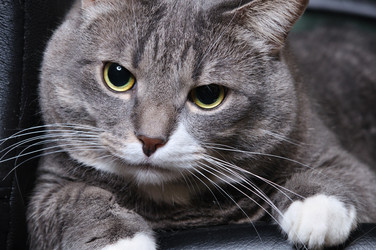 Similar image 437644