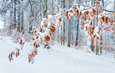 Similar image 437651