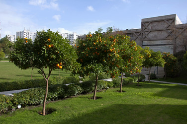 Similar image 437652