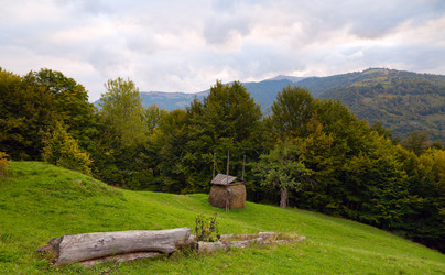 Similar image 437658