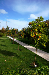 Similar image 437661