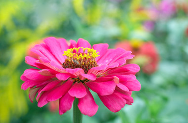 Similar image 437667