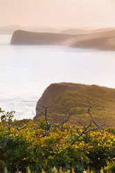 Similar image 437682